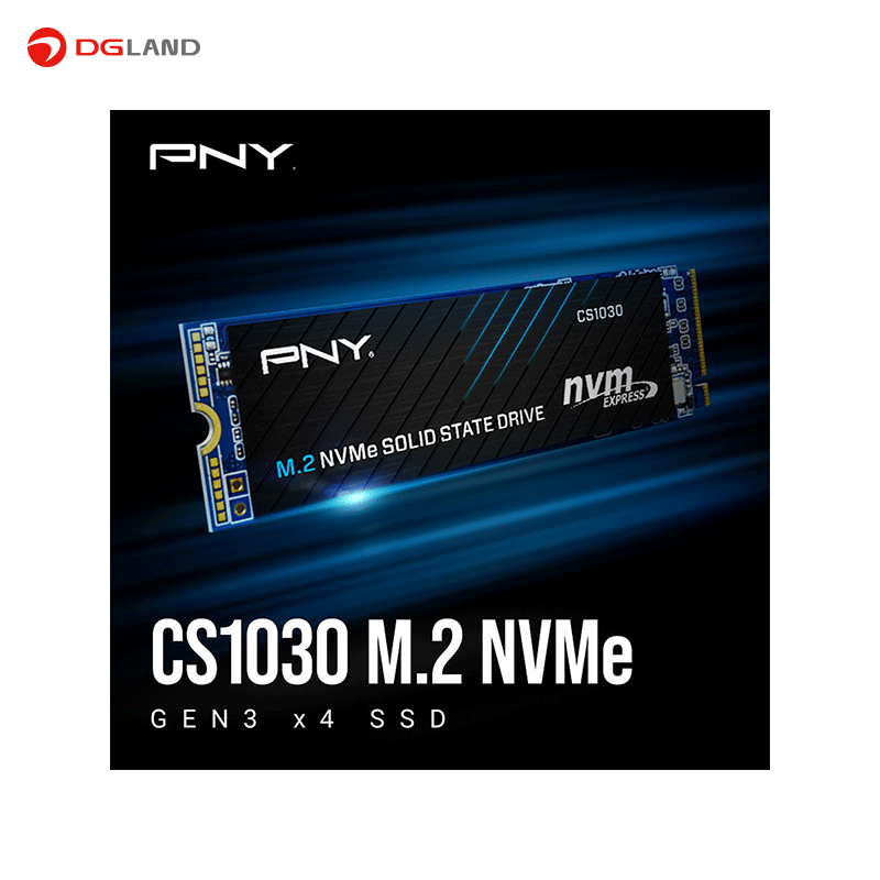 اس اس دی اینترنال پی ان وای مدل CS1030 M.2 NVMe ظرفیت 250 گیگابایت اس اس دی اینترنال پی ان وای مدل CS1030 M.2 NVMe ظرفیت 250 گیگابایت
