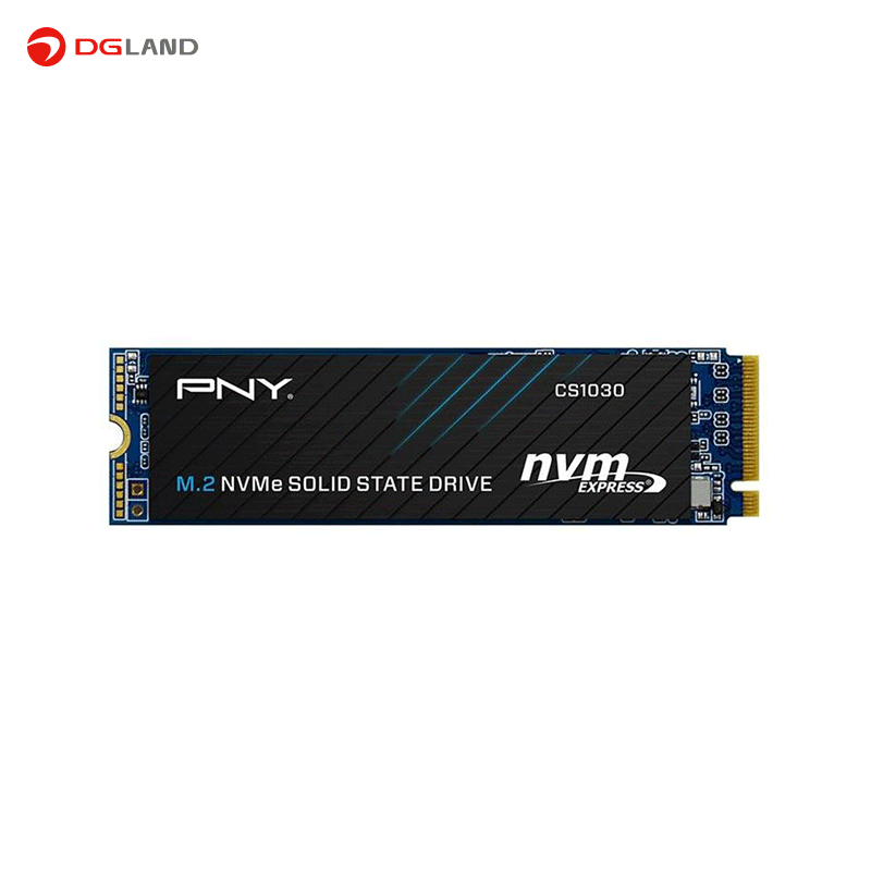 اس اس دی اینترنال پی ان وای مدل CS1030 M.2 NVMe ظرفیت 1 ترابایت